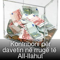 Kontribut